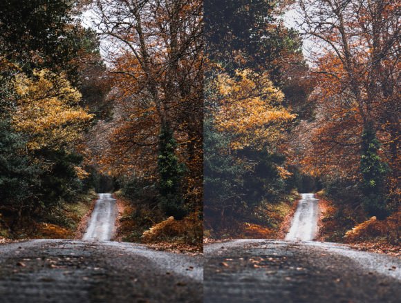 36 پریست لایت روم 2022 حرفه ای تم پاییز زیبا Lightroom Preset Cozy Fall 36 پریست لایت روم 2022 حرفه ای تم پاییز زیبا Lightroom Preset Cozy Fall