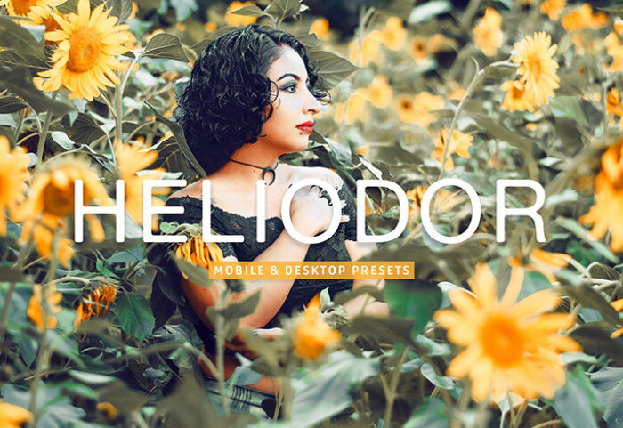 40 پریست لایت روم و پریست کمرا راو و اکشن فتوشاپ تم گل آفتابگردان Heliodor Lightroom Presets