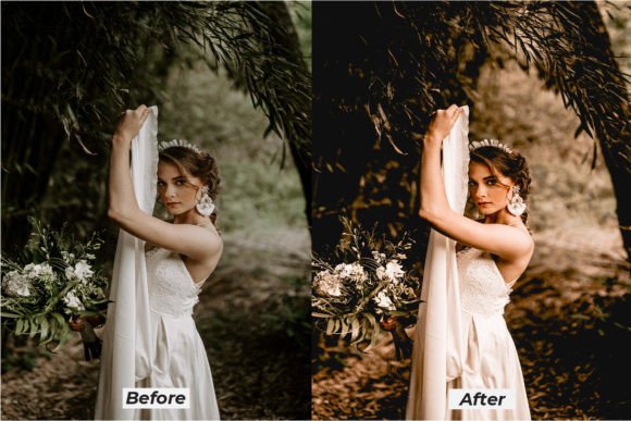 16پریست لایت روم فوق حرفه ای تم پاییزی Stylish Autumn Fall Lightroom Presets 16پریست لایت روم فوق حرفه ای تم پاییزی Stylish Autumn Fall Lightroom Presets