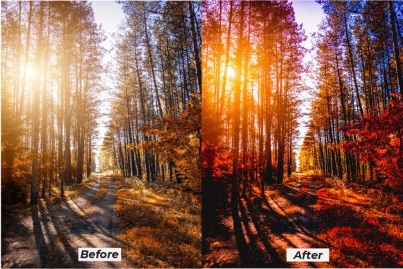 18 پریست لایت روم فوق حرفه ای تم قصه پاییز Autumn Story Lightroom Presets 18 پریست لایت روم فوق حرفه ای تم قصه پاییز Autumn Story Lightroom Presets