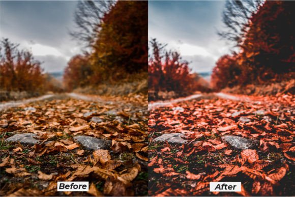 18 پریست لایت روم فوق حرفه ای تم قصه پاییز Autumn Story Lightroom Presets 18 پریست لایت روم فوق حرفه ای تم قصه پاییز Autumn Story Lightroom Presets
