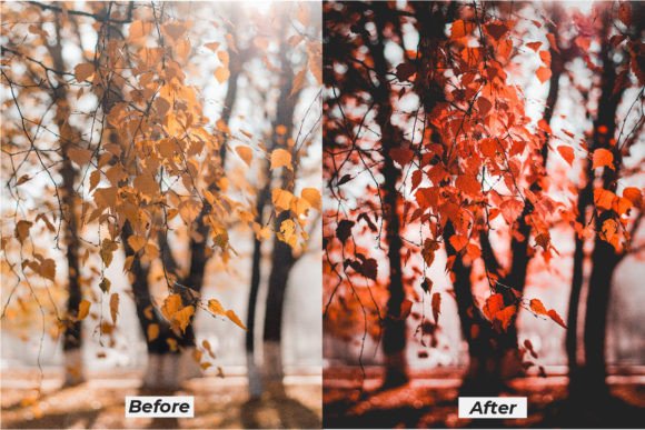 16پریست لایت روم فوق حرفه ای تم پاییز شکلاتی Choco Autumn Fall Lighroom Presets 18 پریست لایت روم فوق حرفه ای تم قصه پاییز Autumn Story Lightroom Presets