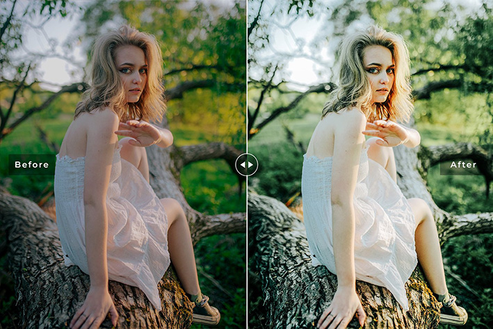 40 پریست لایت روم و پریست کمرا راو و اکشن فتوشاپ تم یشم Jadeite Lightroom Presets 40 پریست لایت روم و پریست کمرا راو و اکشن فتوشاپ تم یشم Jadeite Lightroom Presets