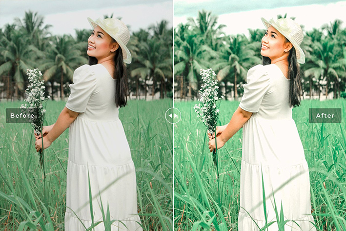 40 پریست لایت روم و پریست کمرا راو و اکشن فتوشاپ تم یشم Jadeite Lightroom Presets 40 پریست لایت روم و پریست کمرا راو و اکشن فتوشاپ تم یشم Jadeite Lightroom Presets