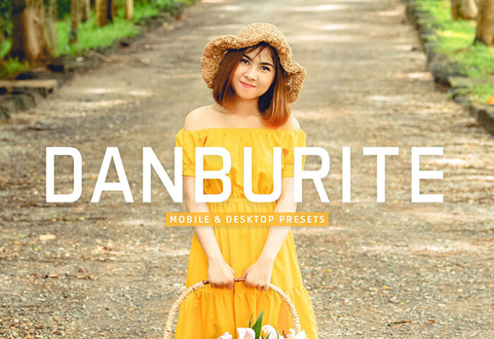 40 پریست لایت روم پرتره و پریست کمرا راو و اکشن فتوشاپ تم زرد Danburite Lightroom Presets